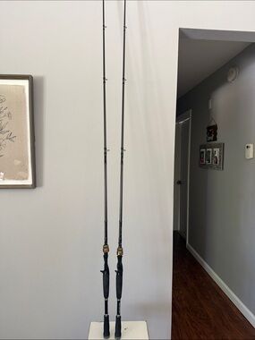 2 casting rods